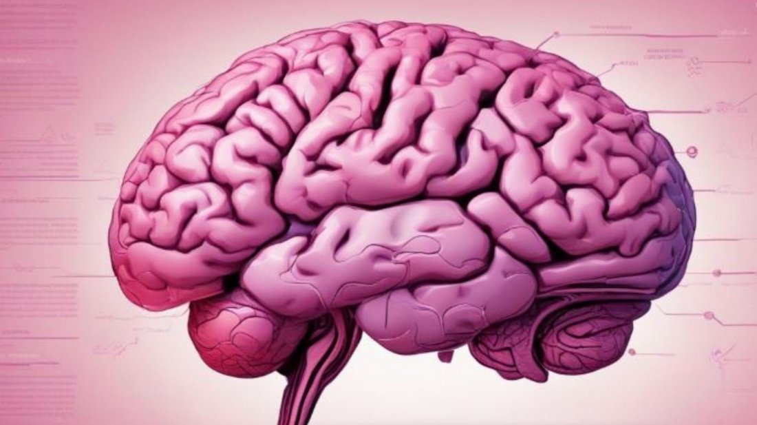 কৃত্রিম মস্তিষ্ক তৈরি করলো ইরান